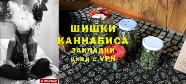 PSILOCYBIN Лиски