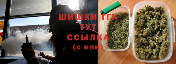 PSILOCYBIN Лиски