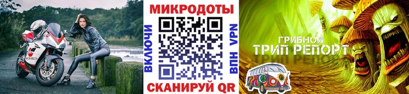 Галлюциногенные грибы Magic Shrooms  Купить  Суровикино 